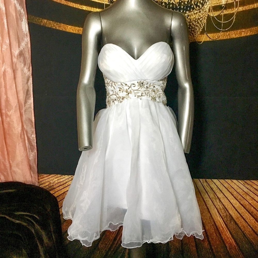 White Costume Dress Sheer Fabric Sequin